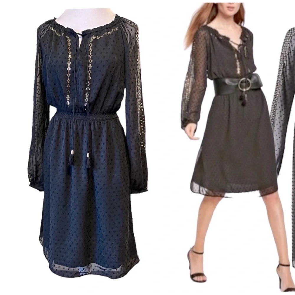 NWT Altuzarra Dress Black Swiss dot chiffon sequins long sleeves smocked Sz 4 - Picture 6 of 15